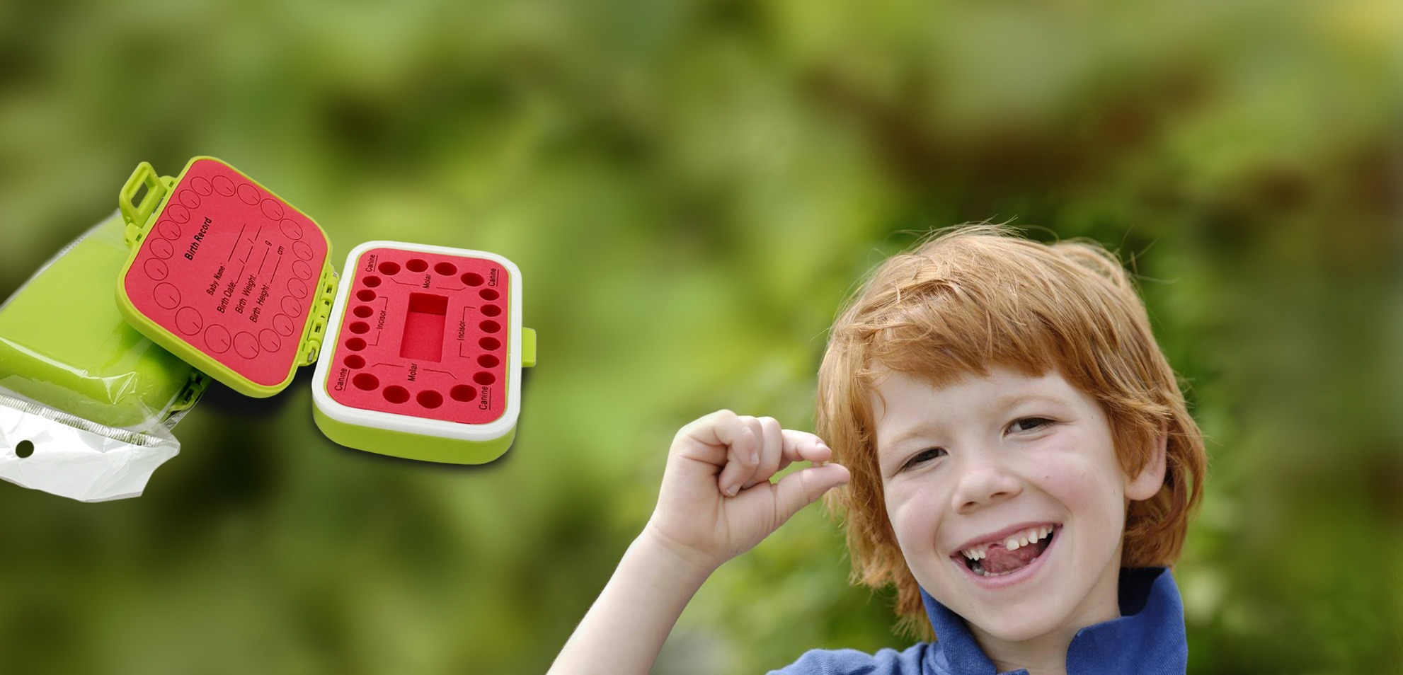 teethboxes